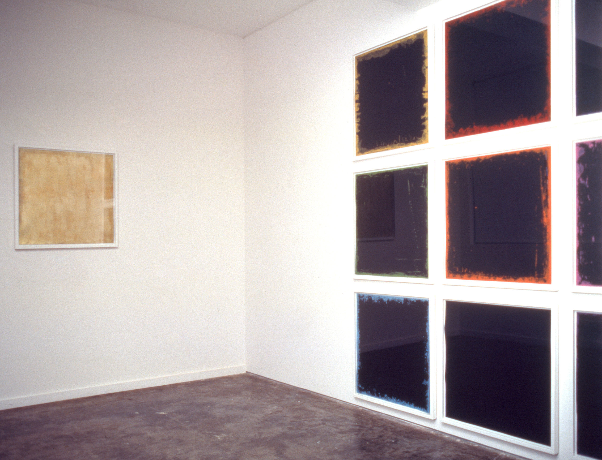 installation view     MUSE  , 2004 - 2005